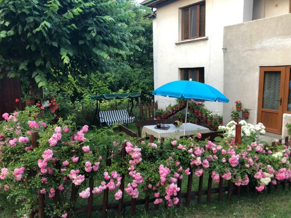 Guest House Emmy Trigrad Exterior foto